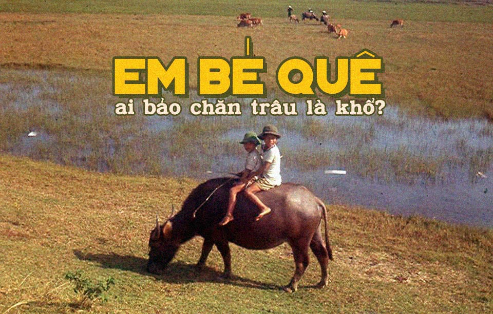 Ký ức về tuổi thơ nơi đồng ruộng trong ca khúc “Em Bé Quê” của nhạc sĩ Phạm Duy: “Ai bảo chăn trâu là khổ…”