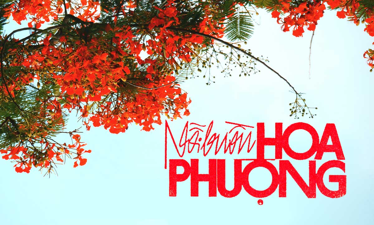 Hoàn cảnh sáng tác ca khúc “Nỗi Buồn Hoa Phượng” (Thanh Sơn) – “Mỗi lần hè thêm kỷ niệm, người xưa biết đâu mà tìm…”